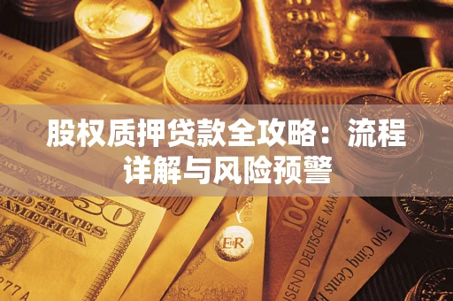 北京股权质押贷款全攻略：流程详解与风险预警