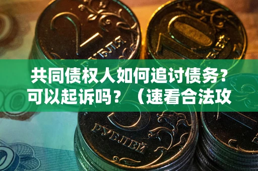 北京共同债权人如何追讨债务？可以起诉吗？（速看合法攻略）