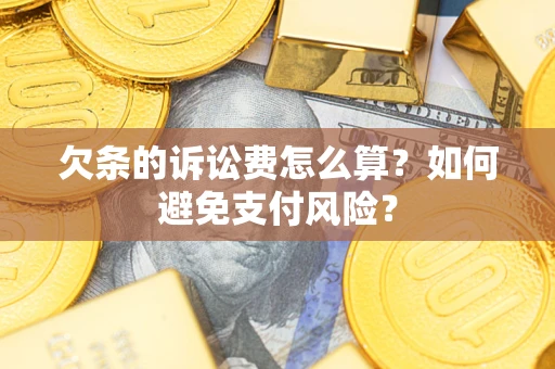 北京欠条的诉讼费怎么算？如何避免支付风险？